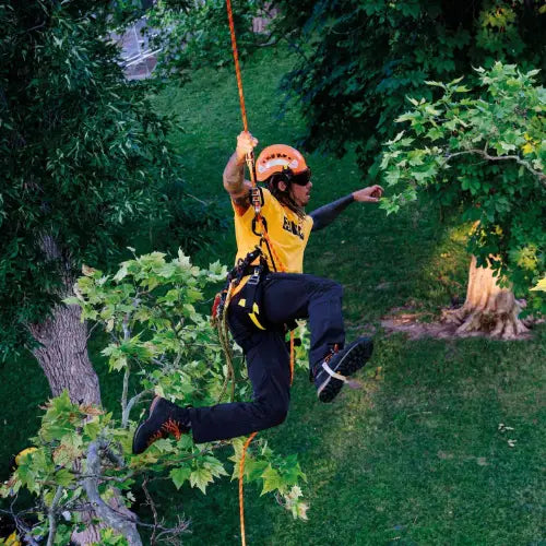 Tree Climbing Ropes: The Lifeline of Safe Ascents