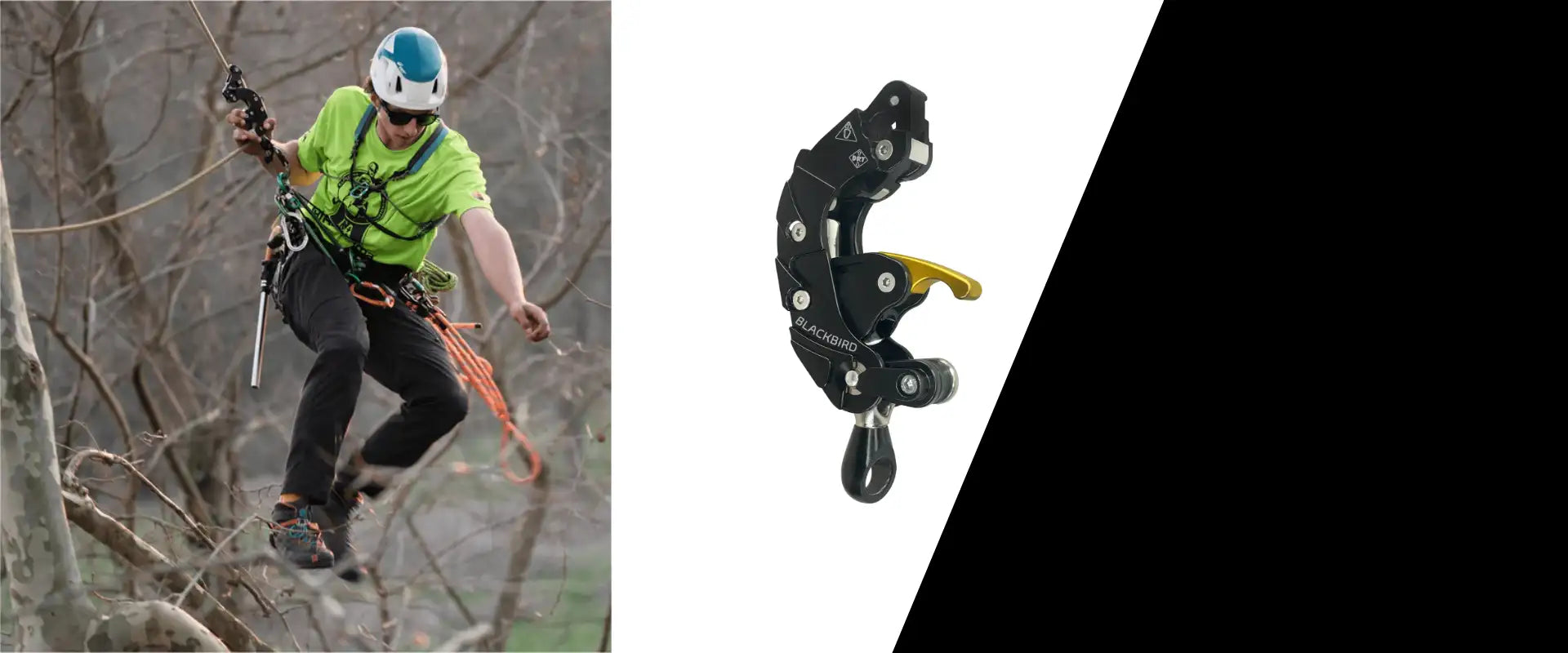 Black and yellow black diamond atc descender with a metal hook.