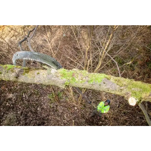 CEUK Stallion Telescopic Polesaw 4.1m - Skyland Equipment Ltd