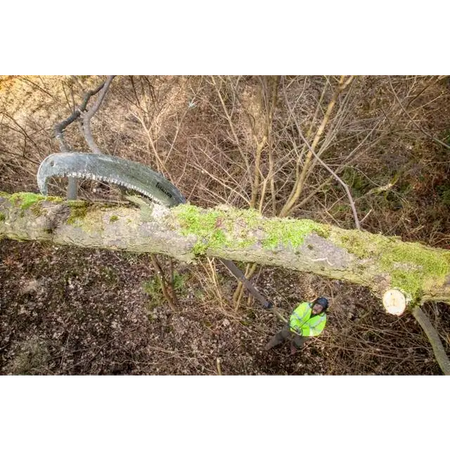 CEUK Stallion Telescopic Polesaw 4.1m - Skyland Equipment Ltd