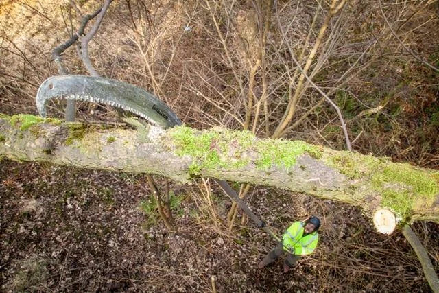 CEUK Stallion Telescopic Polesaw 6.3m - Skyland Equipment Ltd