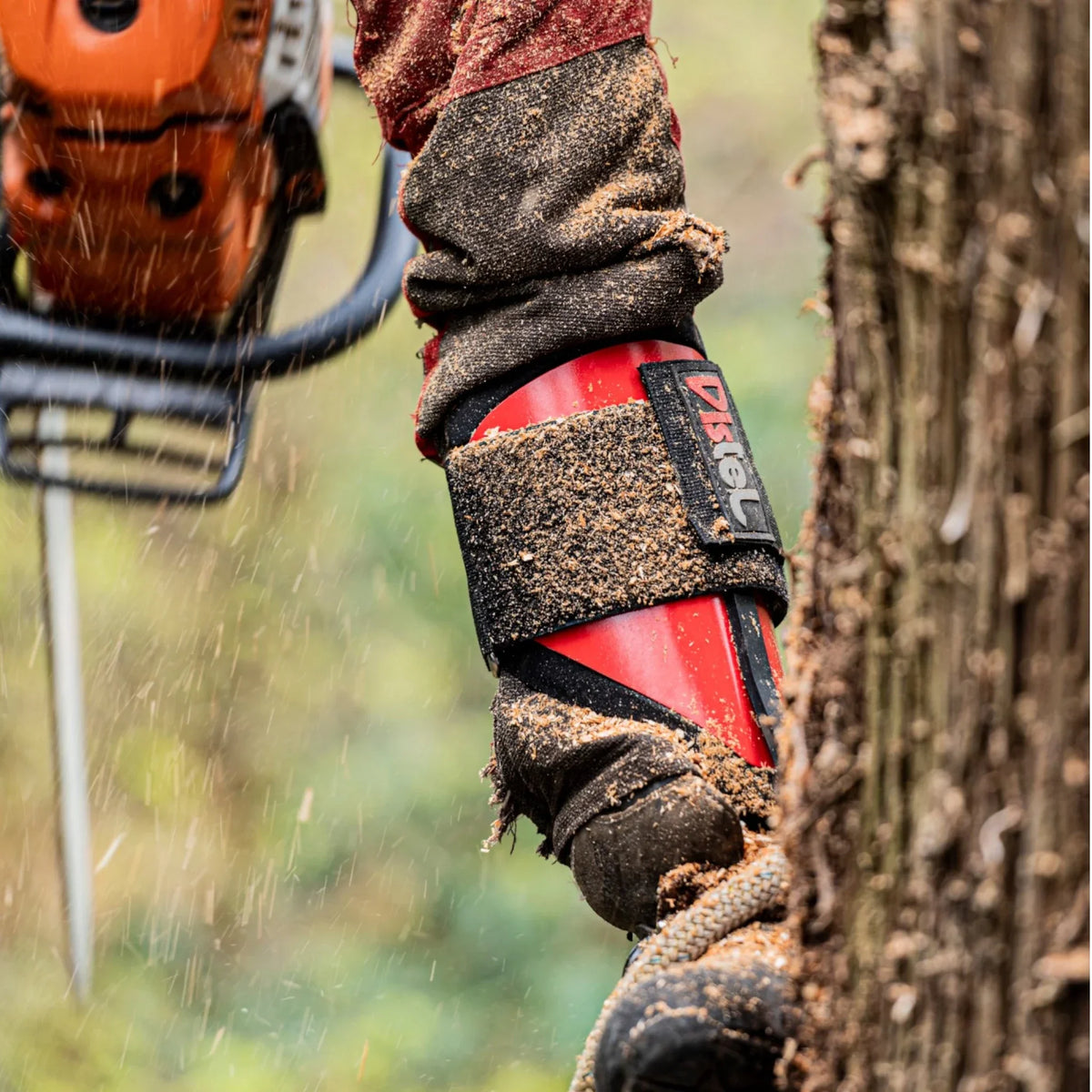 Distel Steel 3.1 Climbing Spikes - Leather Strap - Arborist Accessory