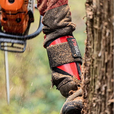 Distel Steel 3.1 Climbing Spikes - Leather Strap - Arborist Accessory