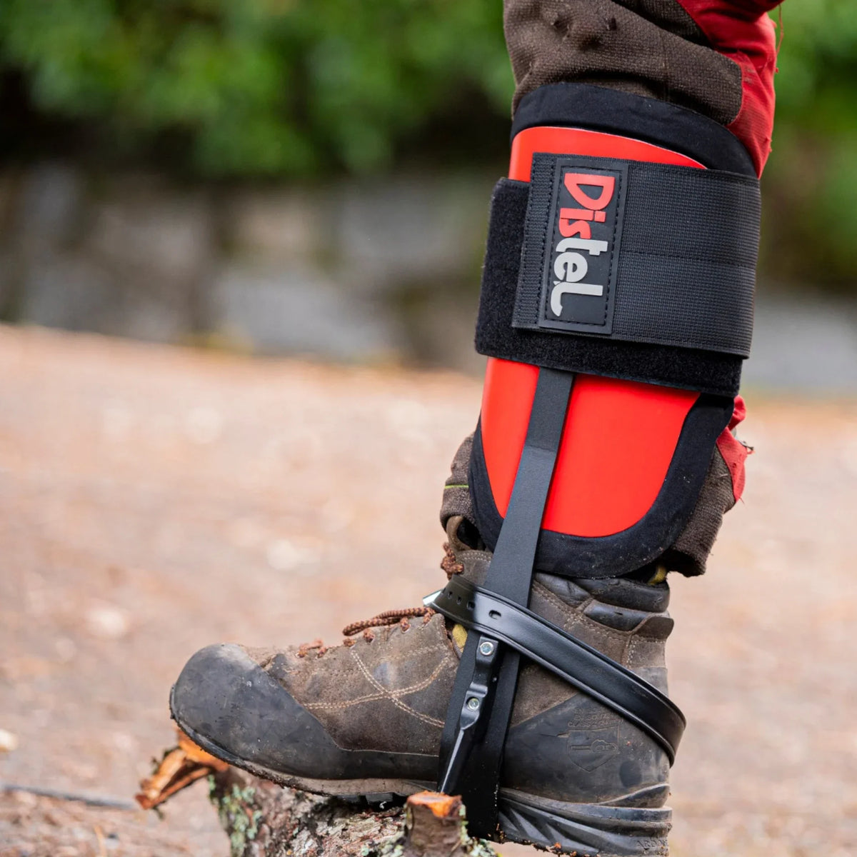 Distel Steel 3.1 Climbing Spikes - Leather Strap - Arborist Accessory
