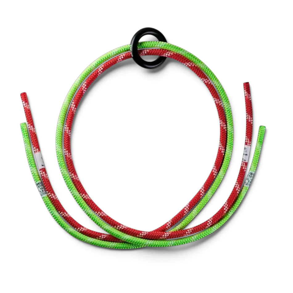 Edelrid TreeRaptor Rope Bridge Set - Harness & Accessory