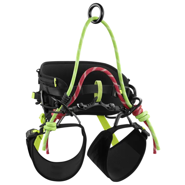 Edelrid TreeRex Triple Lock Harness - Skyland Equipment Ltd