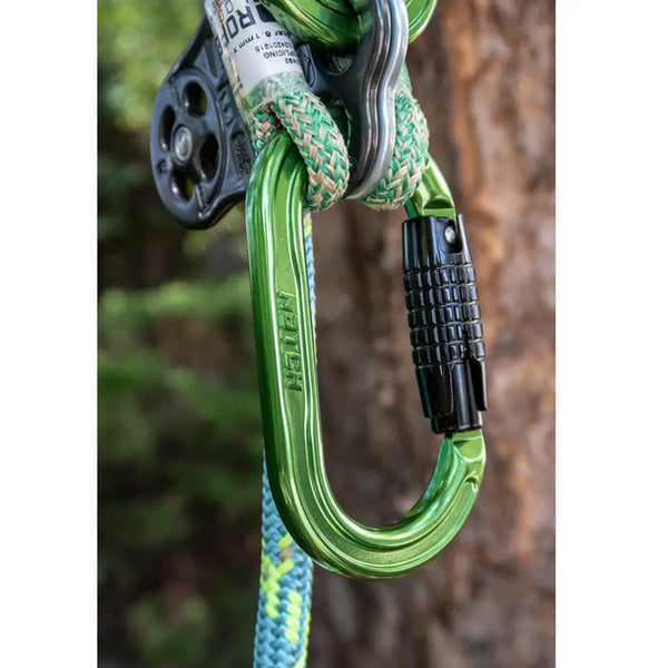 Notch Absolute Oval Aluminium Carabiner - Carabiner