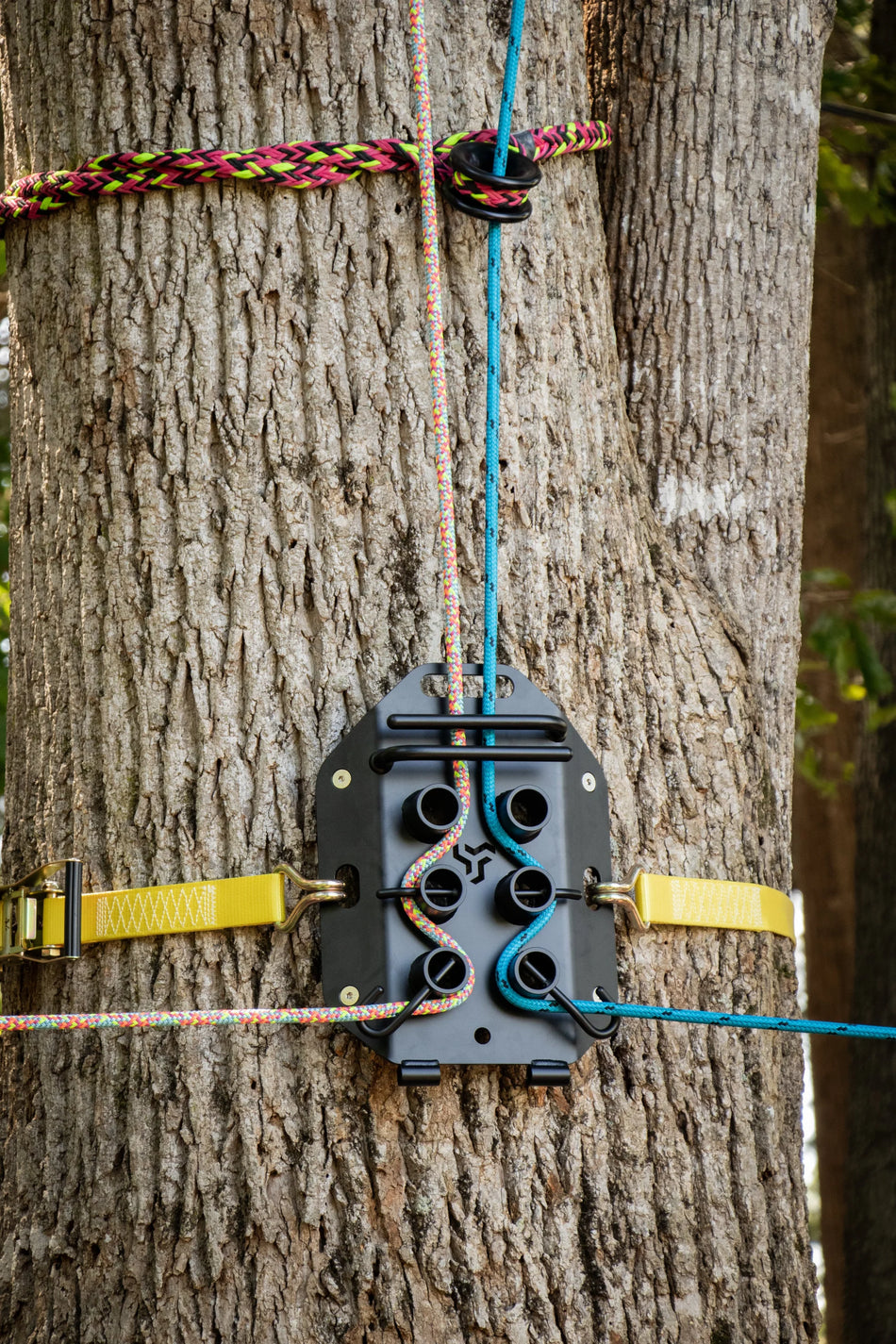 Tree Hog Rigging Blocks Tree Rigging Equipment – tagged