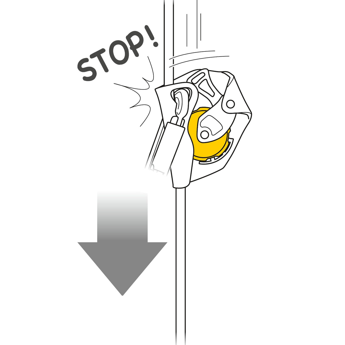 Petzl ASAP Fall Arrester - Climbing Hardware