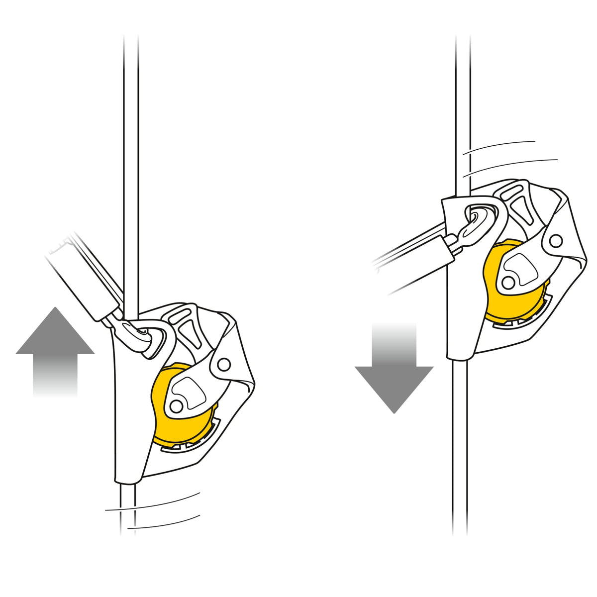 Petzl ASAP Fall Arrester - Climbing Hardware
