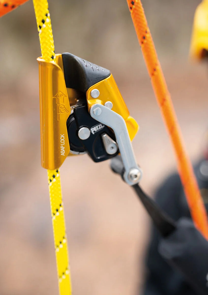 Petzl ASAP Lock - Climbing Hardware