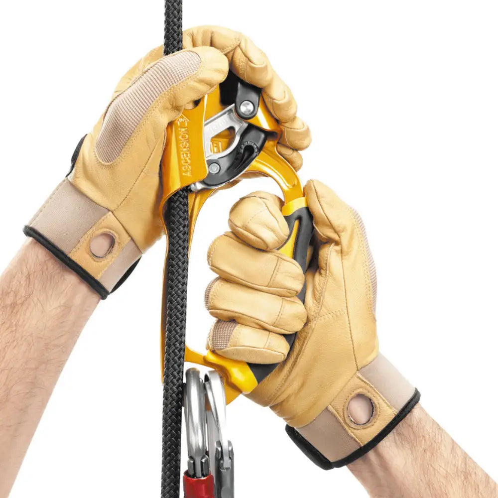 Petzl Ascension Rope Ascender - Skyland Equipment Ltd