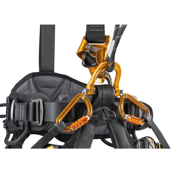 Petzl Astro Bod Fast Harness - INTERNATIONAL - Skyland Equipment Ltd