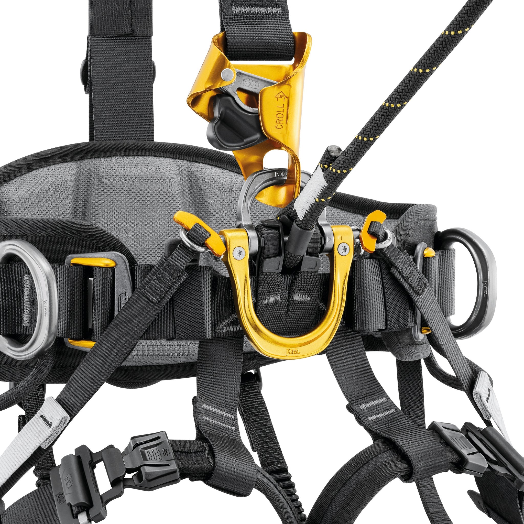 Petzl ASTRO® European Version - Harness & Accessory