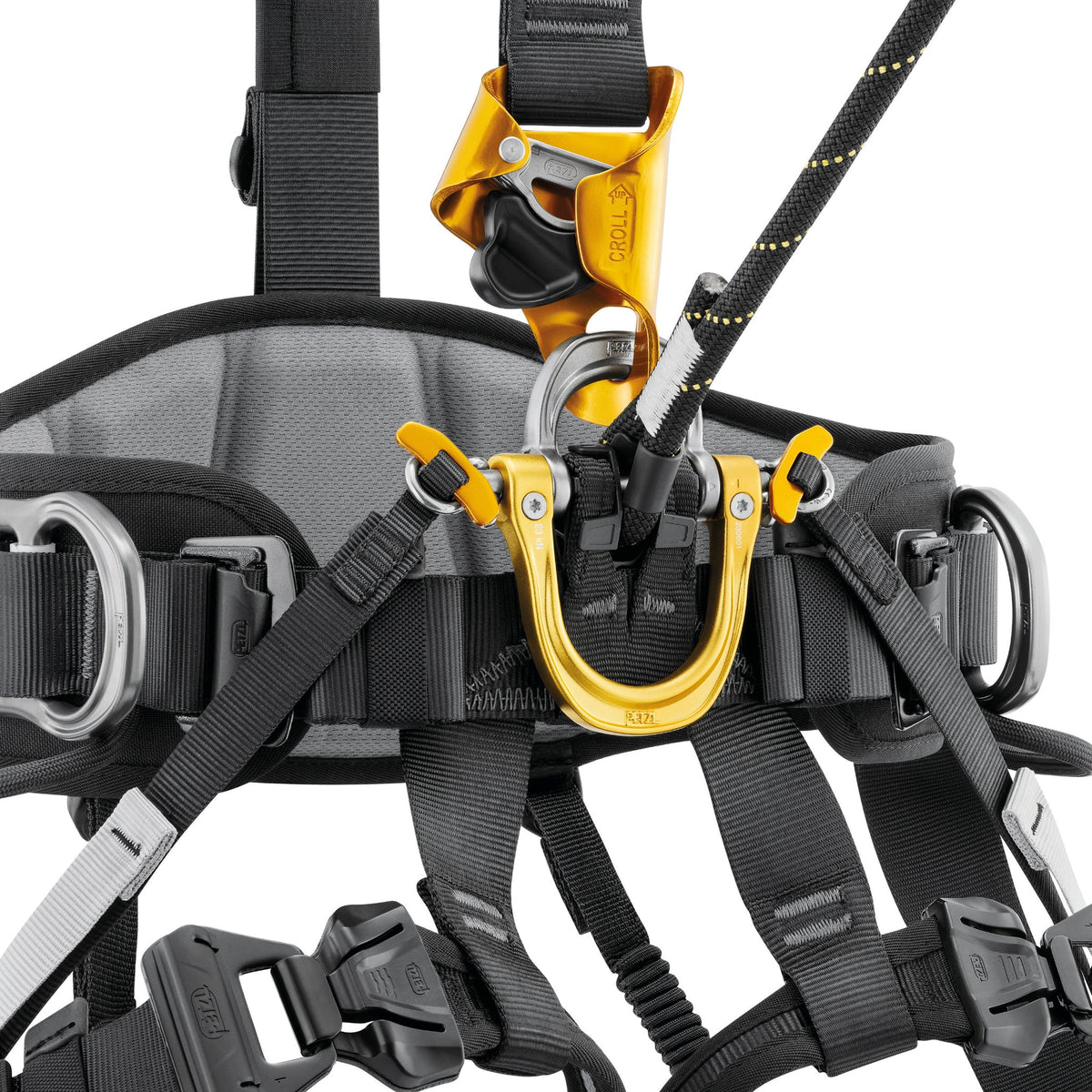 Petzl ASTRO® Harness - International Version - Harness & Accessory