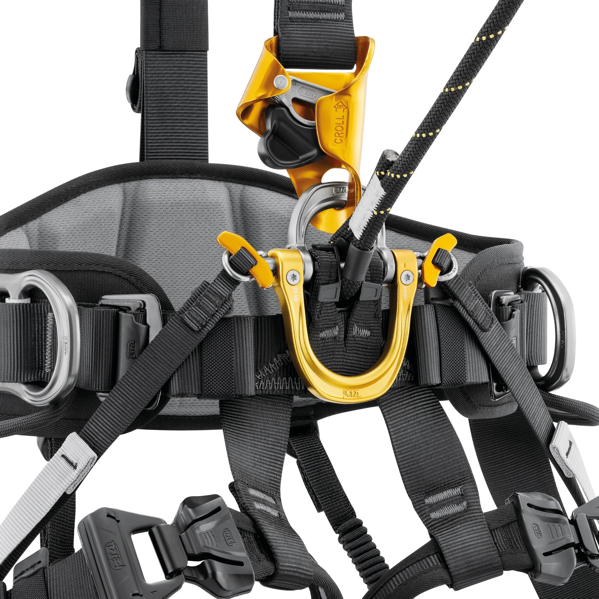 Petzl ASTRO® Harness - International Version - Harness & Accessory