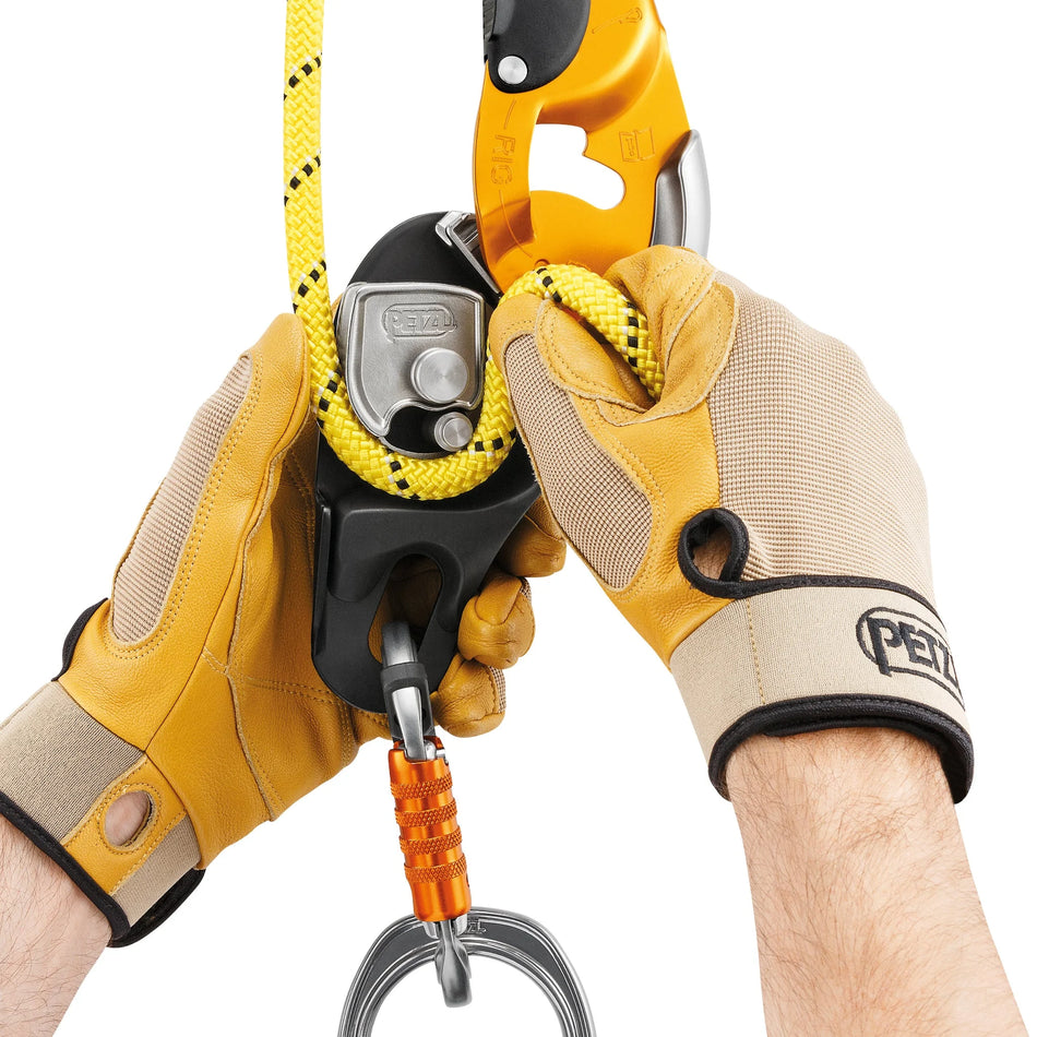 Petzl Rig - Black - Climbing Hardware