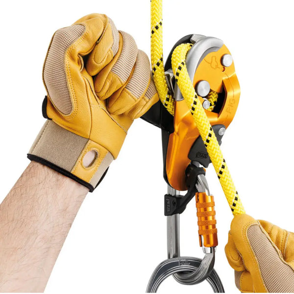 Petzl Rig - Black - Skyland Equipment Ltd