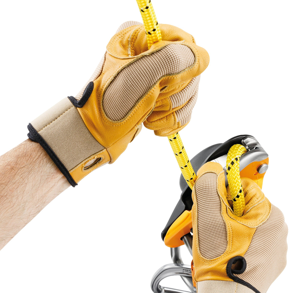 Petzl Rig - Climbing Hardware