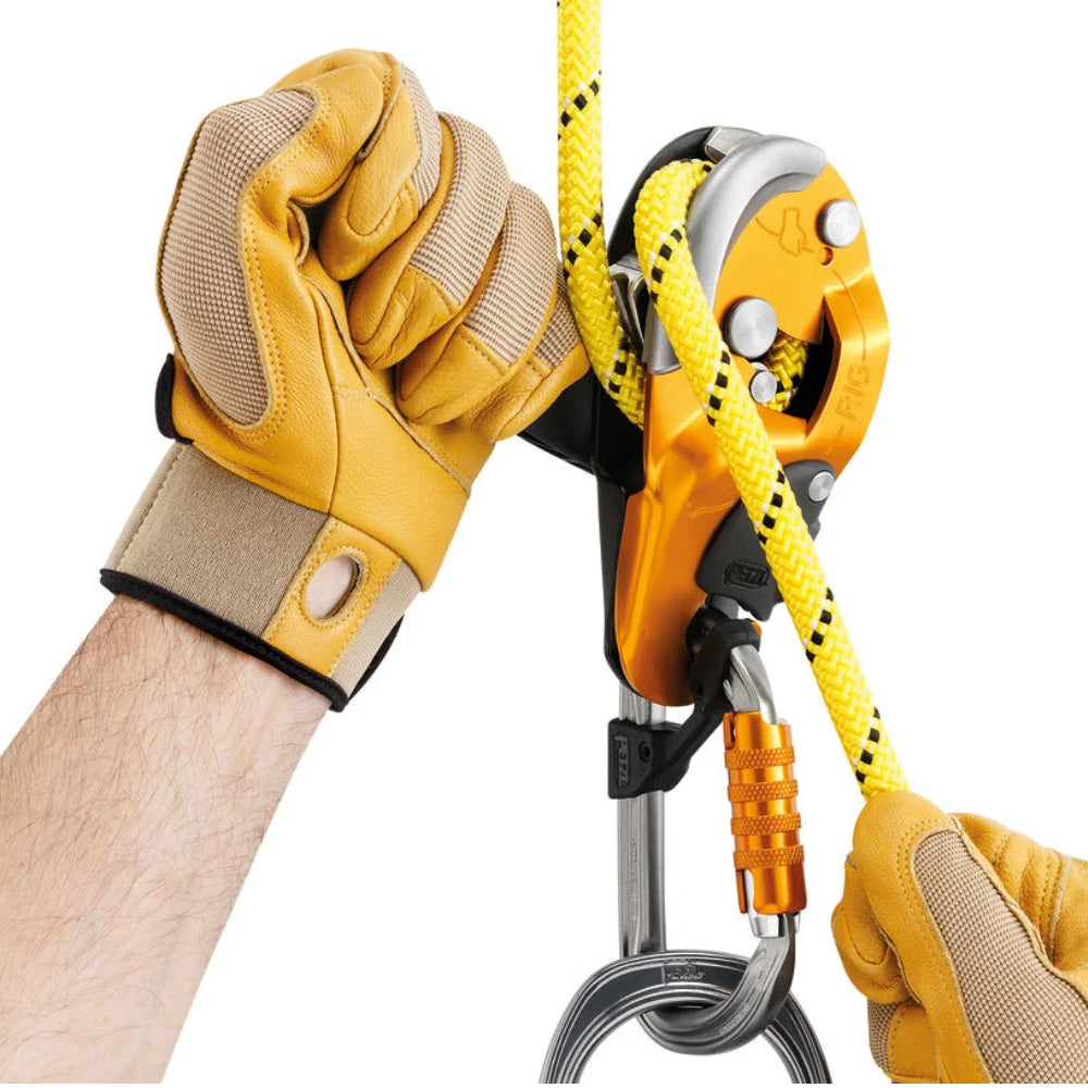 Petzl Rig - Climbing Hardware