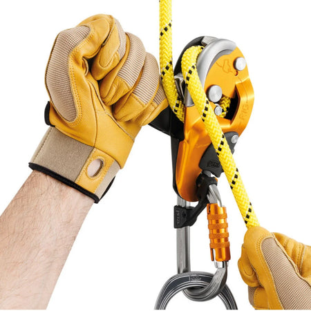 Petzl Rig - Climbing Hardware