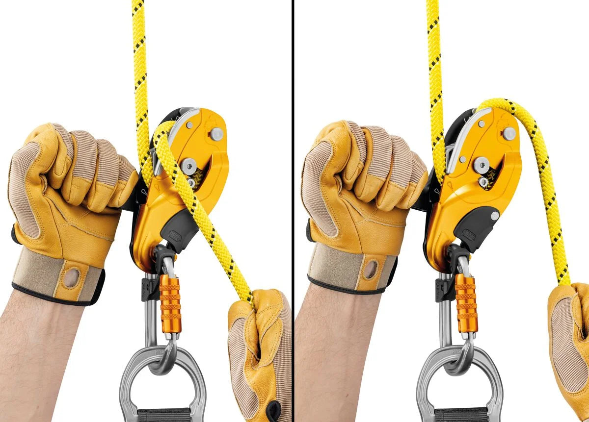 Petzl Rig - Climbing Hardware