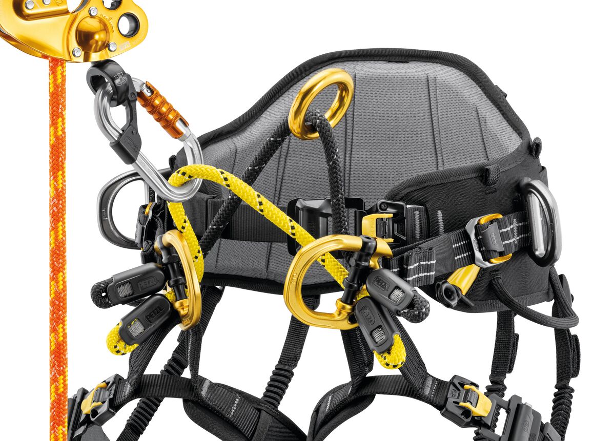 Petzl Sequoia PLUS Tree Climbing Harness - Harness & Accessory