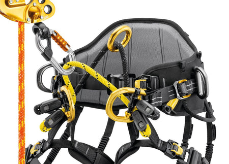 Petzl Sequoia PLUS Tree Climbing Harness - Harness & Accessory