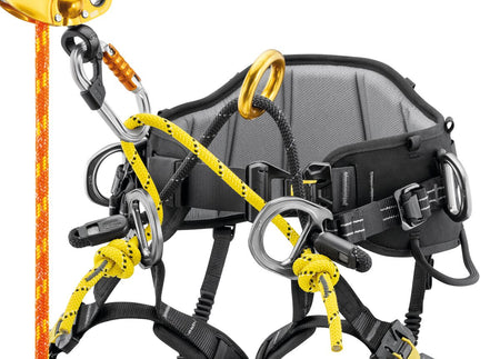 Petzl Sequoia Tree Climbing Harness - Harness & Accessory