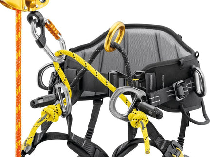 Petzl Sequoia Tree Climbing Harness - Harness & Accessory