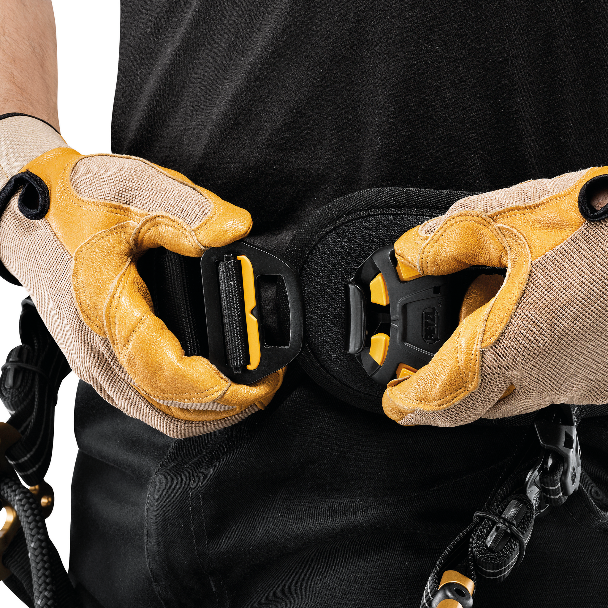 Petzl Sequoia Tree Climbing Harness - Harness & Accessory