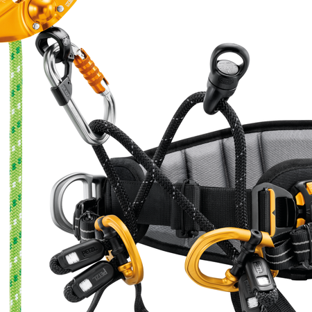 Petzl Sequoia Tree Climbing Harness - Harness & Accessory
