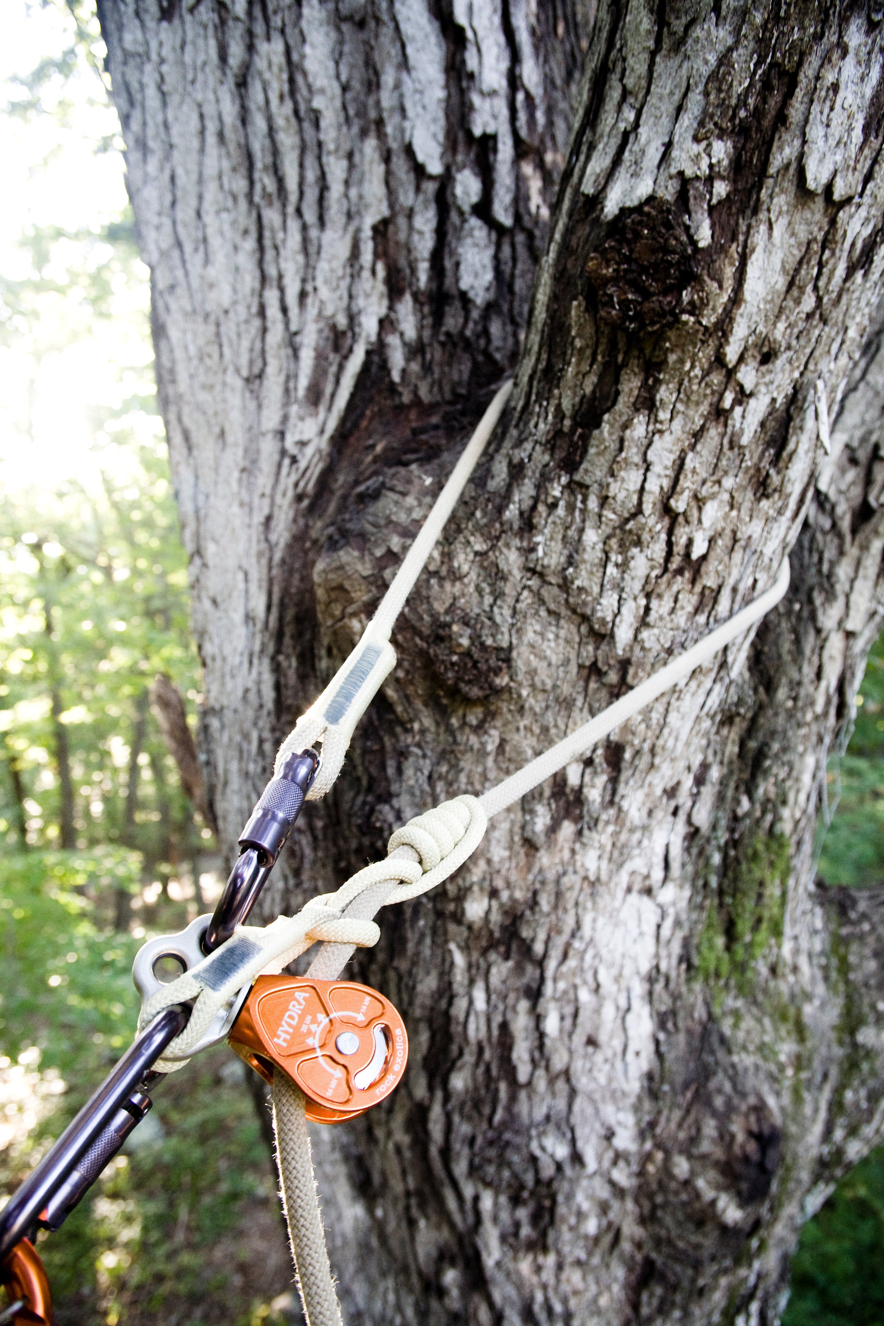 Rock Exotica Hydra Pulley - Pulley