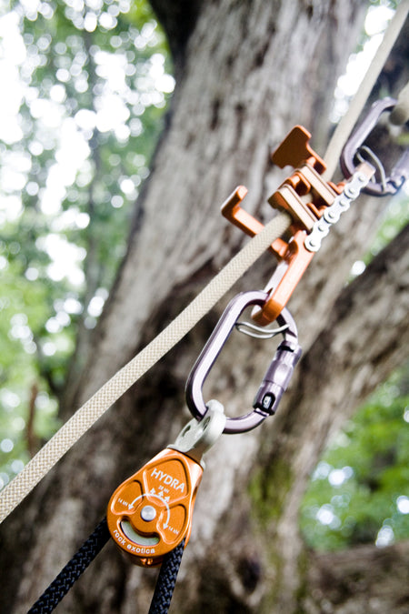 Rock Exotica Hydra Pulley - Pulley