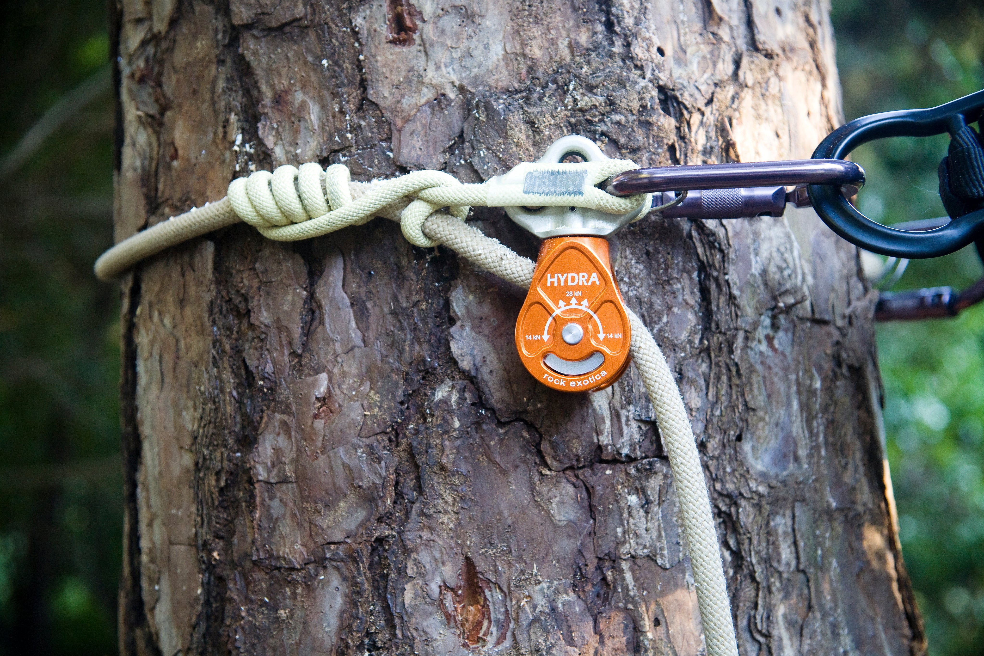 Rock Exotica Hydra Pulley - Pulley
