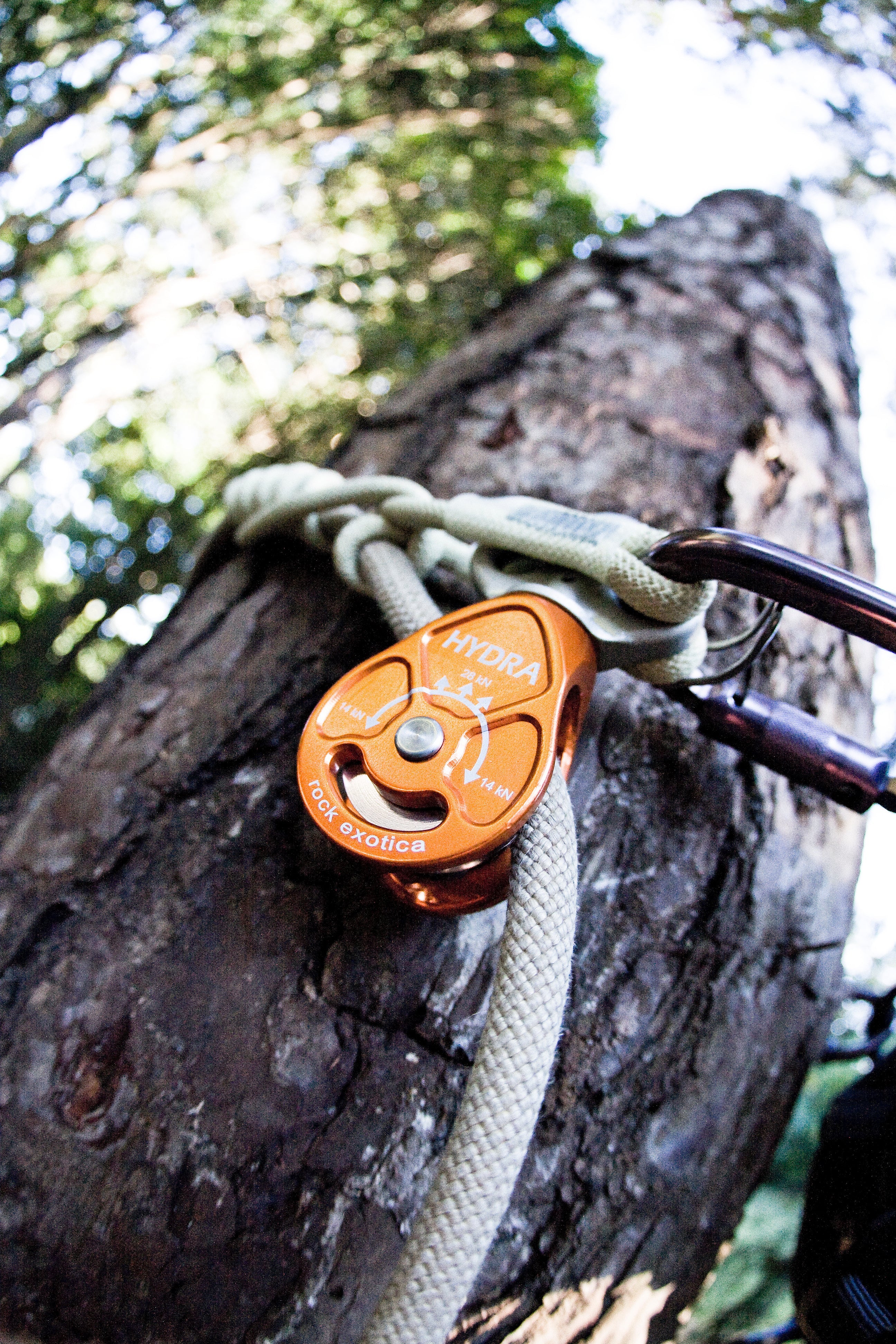 Rock Exotica Hydra Pulley - Pulley