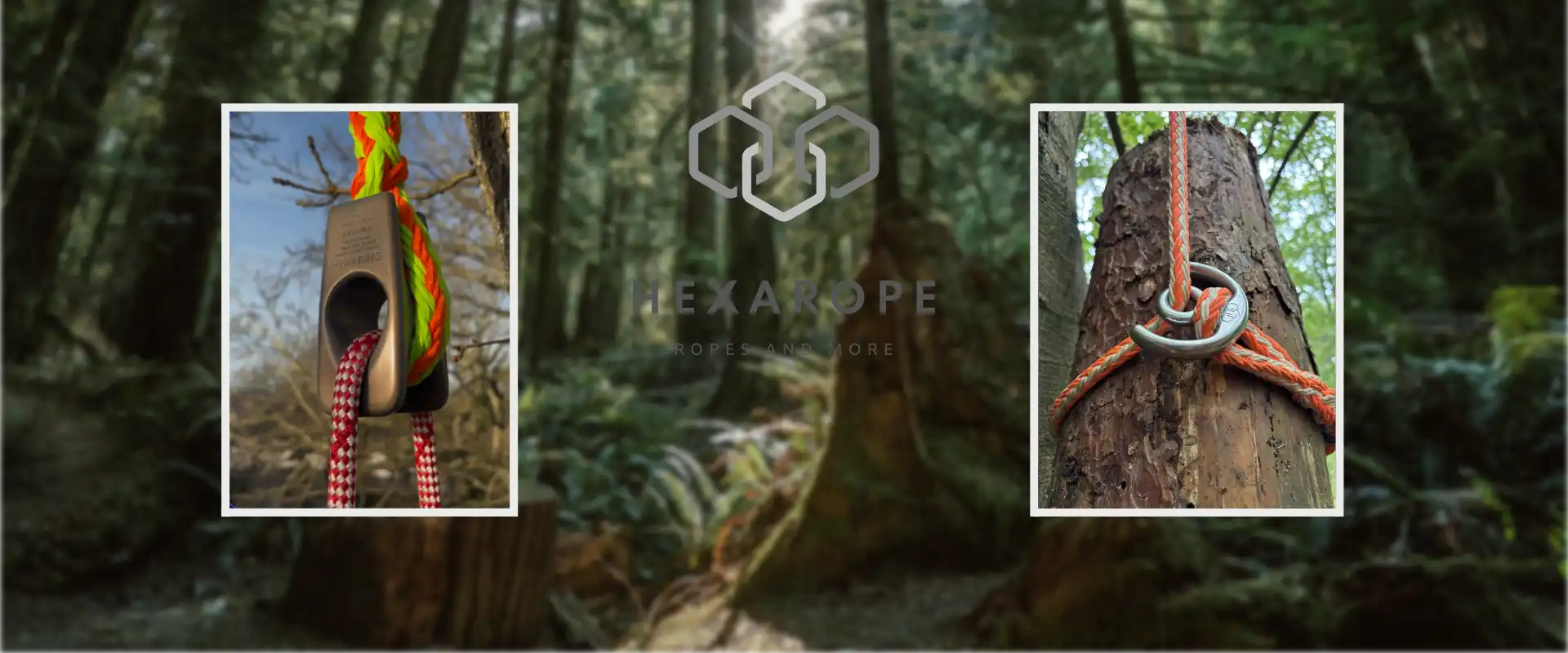 Ropes and rigging hardware for tree climbing or arborist work.