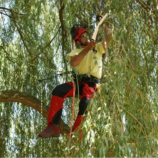 Silky Sugoi 360 Handsaw - Skyland Equipment Ltd