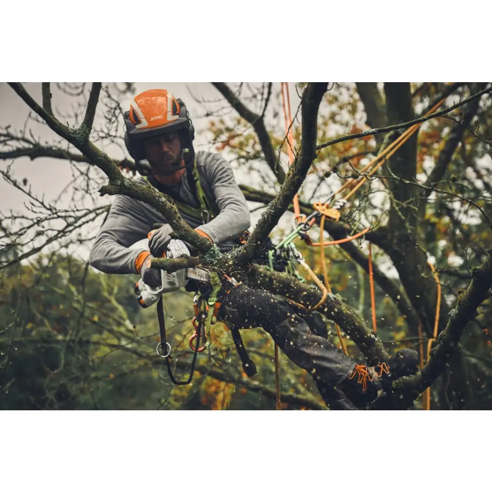 Stihl GTA 40 Cordless Pruner with 2 x AS 2 battery and AL 5-2 charger - Chainsaw