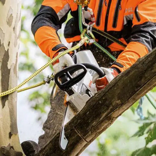 Stihl MSA 161 T Chainsaw - Skyland Equipment Ltd