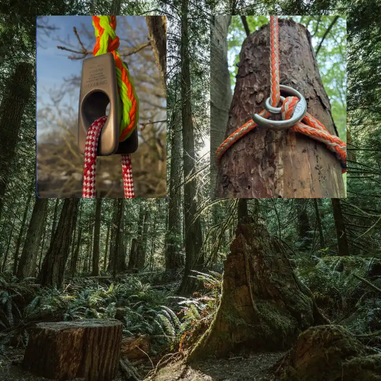 Tree climbing and rigging equipment.