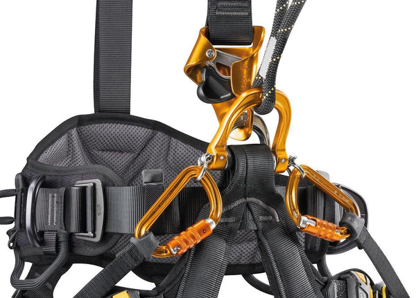 Petzl Astro Bod Fast Harness - INTERNATIONAL - Skyland Equipment Ltd